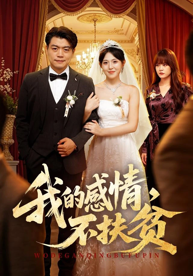 《我的感情,不扶贫》短剧海报